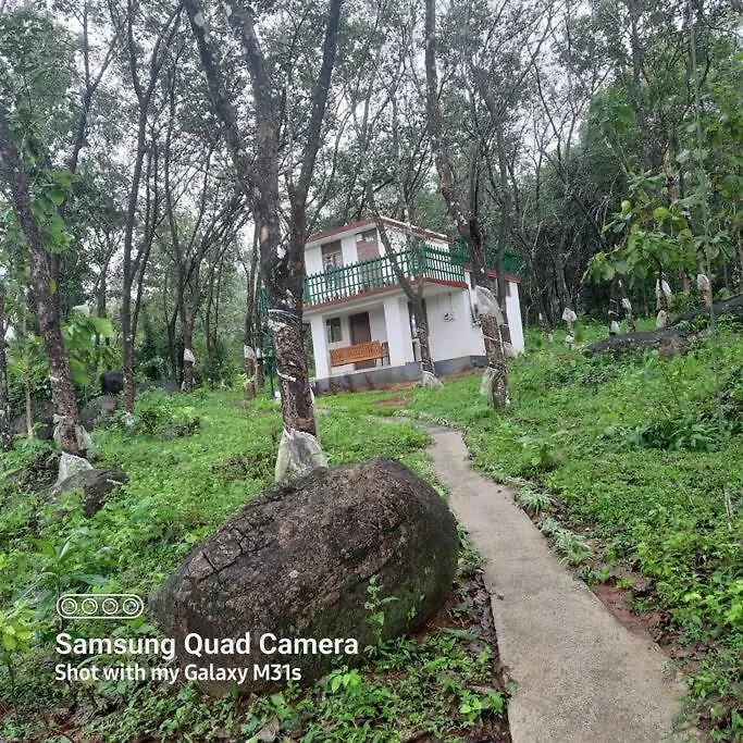 Home Stay In A Coffee Plantation Near Athirappally Kodali