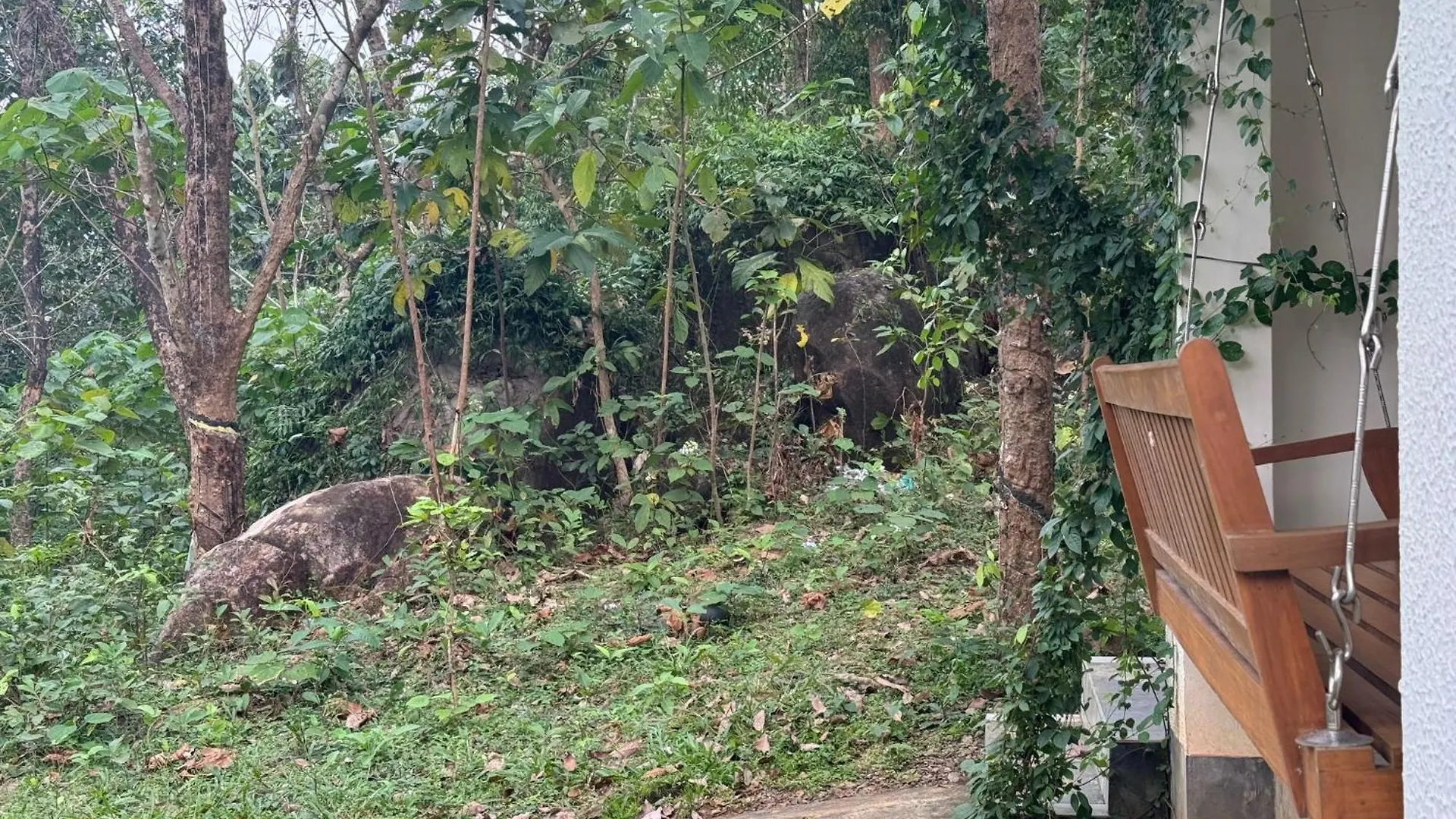 Villa Home Stay In A Coffee Plantation Near Athirappally Kodali